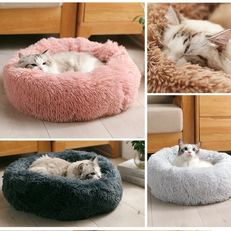 Bed for dogs and cats