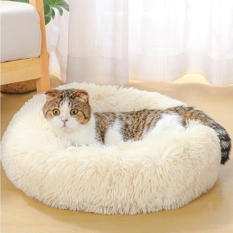 Bed for dogs and cats