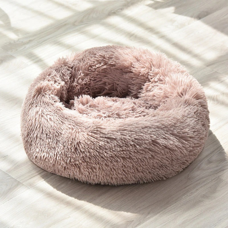 Bed for dogs and cats