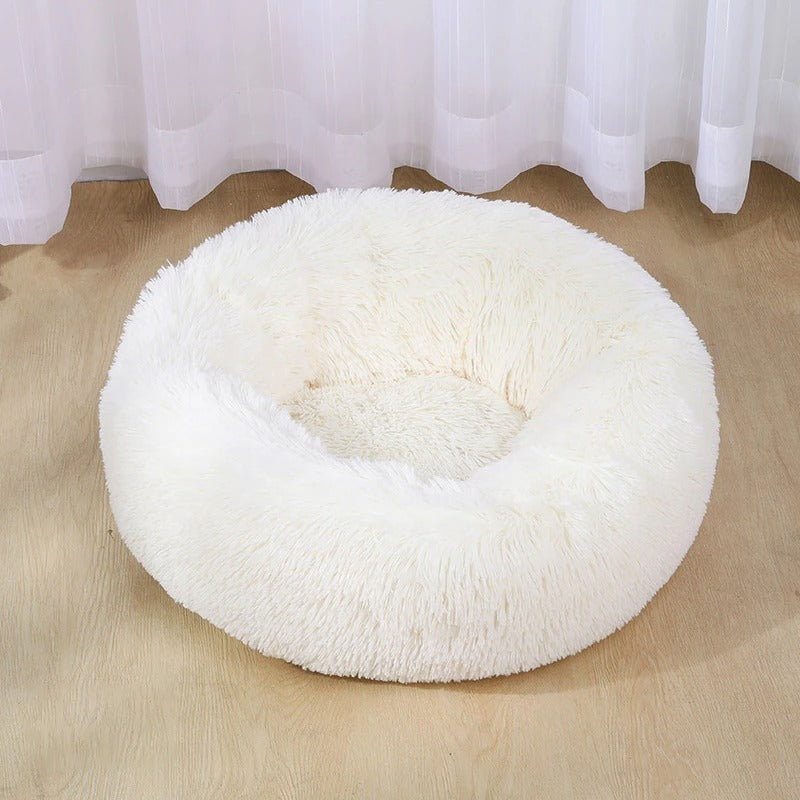 Bed for dogs and cats