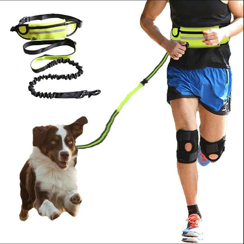 Hands Free Dog Leash Pet Walking And Training Belt With Shock