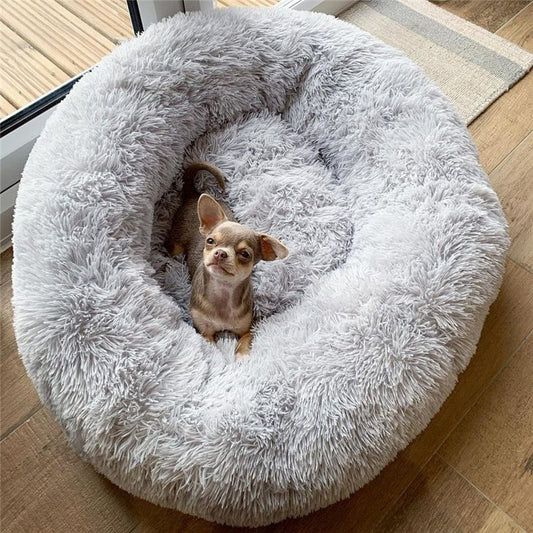 Bed for dogs and cats